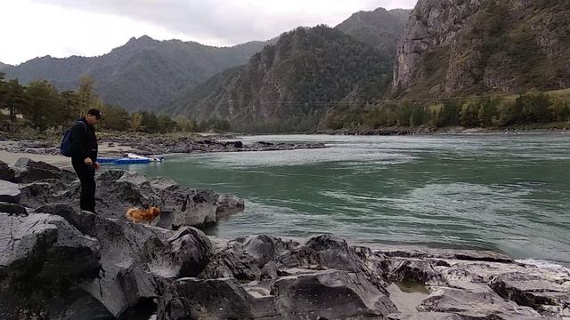 VID_20240909_143834.mp4 смотреть онлайн