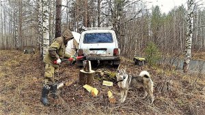 ''В ЛЕС С НОЧЁВКОЙ'' К ПАЛАТКЕ ПРИШЁЛ ЗВЕРЬ! ''ИЩУ МЕТАЛЛ ГДЕ БЫЛА ДЕРЕВНЯ'' ЗАКИДЫВАЮ ДОНКИ!