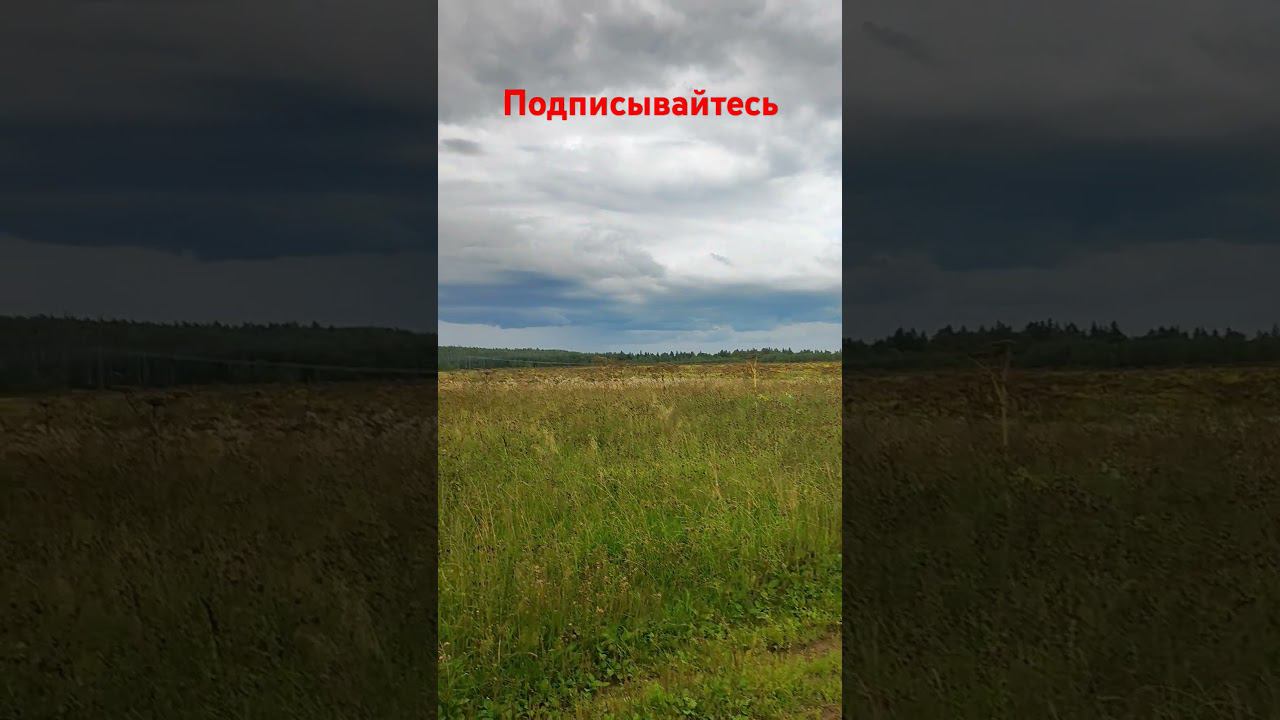 Поля. смотреть онлайн