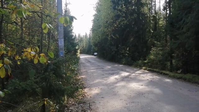 AVATAR MTU-81 // Гагарина - Кукушка // Громкий фронт смотреть онлайн