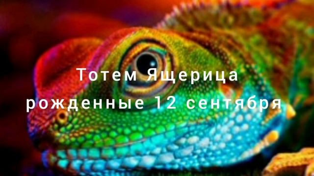 Тотем Ящерица рождённые 12 сентября смотреть онлайн