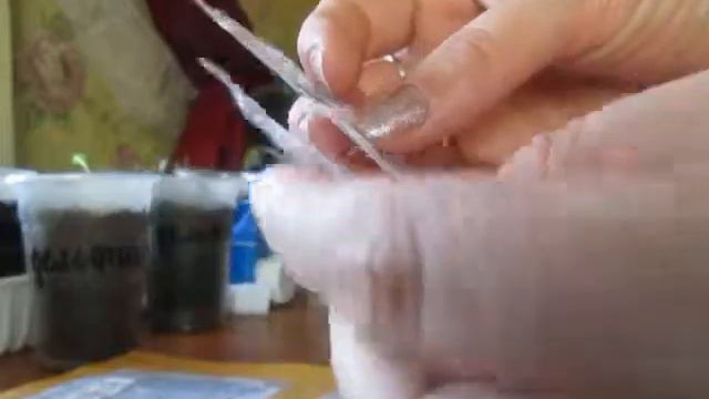 посылки с китая (семена) смотреть онлайн