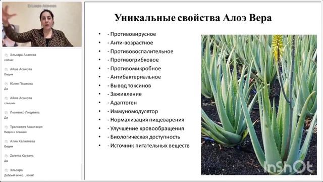 О продукции и производителе, говорит практикующий врач, врач высшей категории, Эльзара Асанова. смотреть онлайн