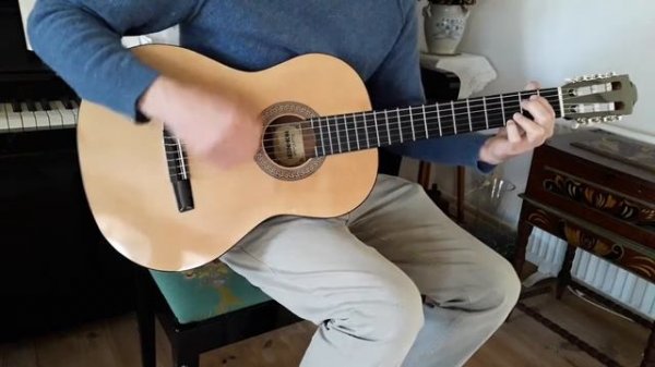 Hohner HC06 - Acoustic Guitar