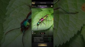 КАК УЛУЧШИТЬ ДИКИХ СУЩЕСТВ!!! _ СЛОЖНО НО ВОЗМОЖНО. _ The Ants Underground kingdom