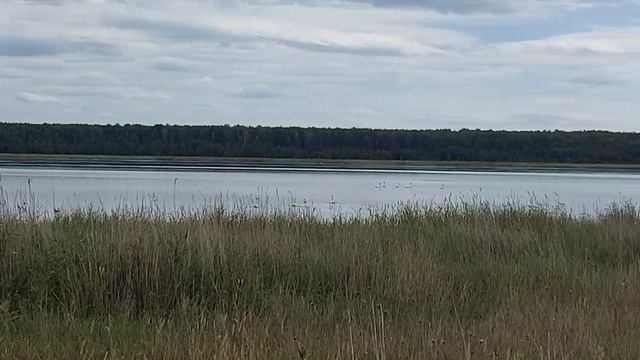 22.08.2023 г. Большой и Малый Шантропай. Расположены так близко друг к другу и такие разные озёра. смотреть онлайн