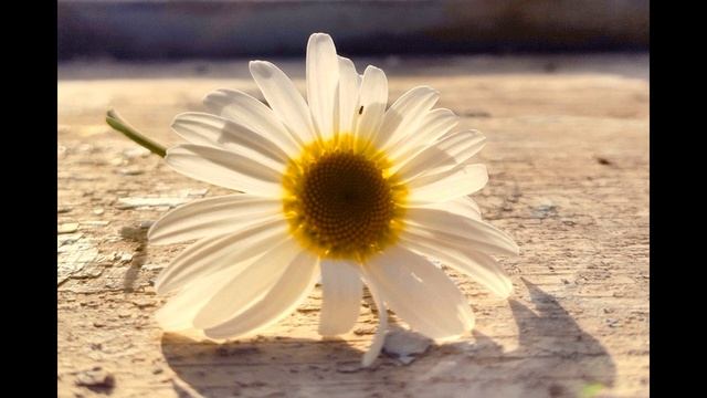 З Александрова Что взяла, клади на место #стихидлядетей #поэты20века смотреть онлайн