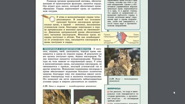 Биология (Л.Н.Сухорукова) 5-6к §43 Транспорт веществ смотреть онлайн