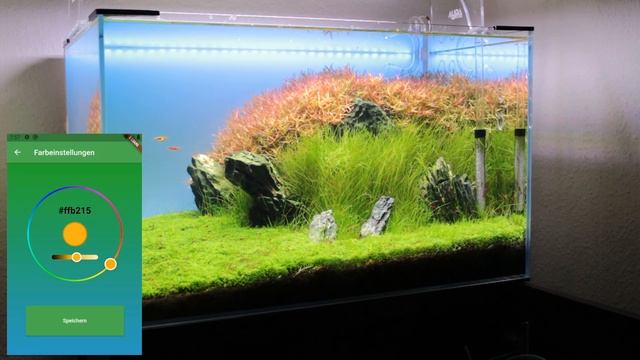 DIY Light Screen für UNTER 70 Euro für dein Aquarium - [Hintergrundbeleuchtung] смотреть онлайн