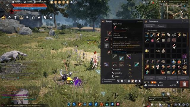 Топ-5 спотов (мест) для заработка серебра на собирательстве (Сборе) - Гайды Black Desert смотреть онлайн