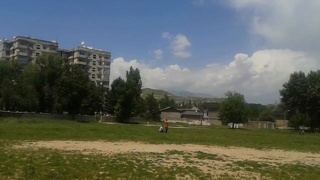 Litl Elle кордовая модель с двигателем Brodak 25