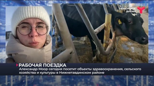 Рабочая поездка губернатора в Нижнетавдинский район смотреть онлайн