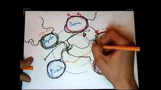 Нейрографика инструкторский курс | Нейроколор | Энергия цвета | Ч -1 смотреть онлайн