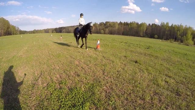 Тренировка в поле... Подготовка к выездке... смотреть онлайн