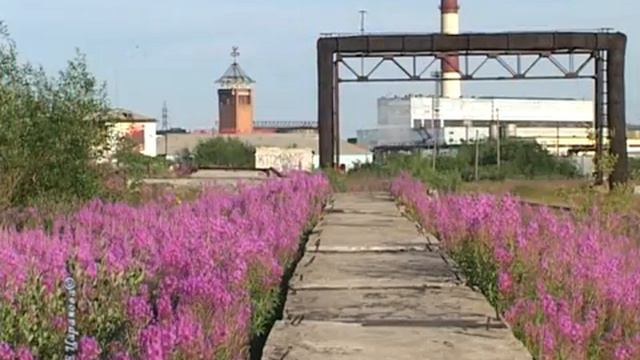 Воркута. Иван - чай смотреть онлайн