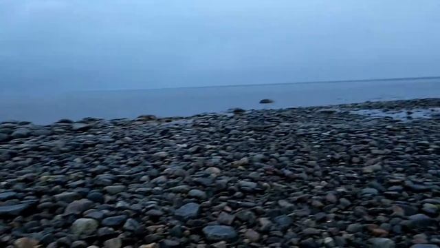 Мыс Белужий на острове Соловецкий. смотреть онлайн