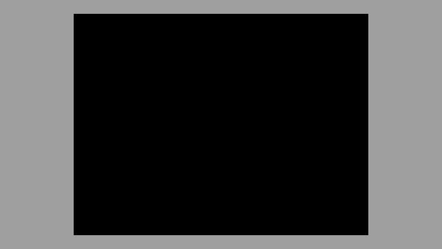 Sintezator - Sergey Pushkin [#zx spectrum Demo] смотреть онлайн