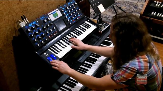 Minimoog Voyager Performer Edition. Review. / Minimoog Voyager Performer Edition. Обзор.