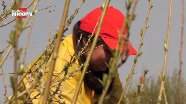 Зеленые инвестиции смотреть онлайн