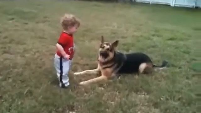 Мега прикольно!!! Крошка кудряшка и огромный пес!!! смотреть онлайн