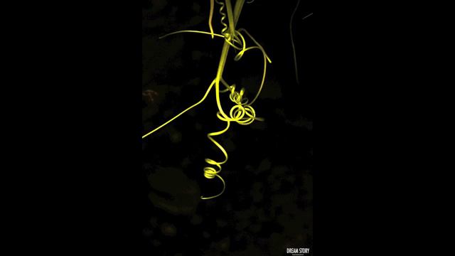Begüm Tarako - Koza (Lyric Video) смотреть онлайн