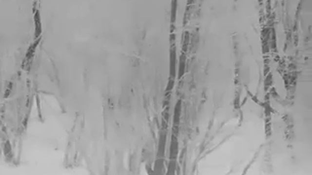 Hikvision 25uf/w vysoká смотреть онлайн