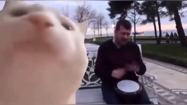 АРИ ПАПА ПАРИ ПАРИ?????? смотреть онлайн