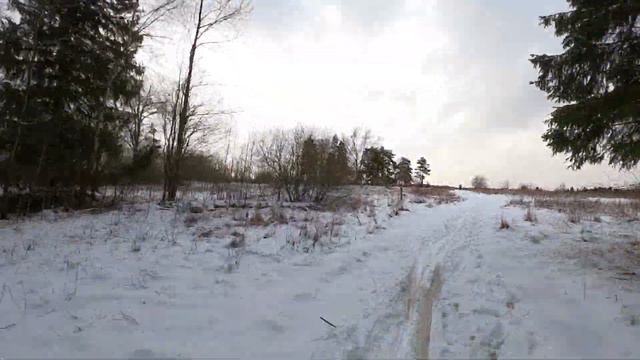 #ГруппаДмитриева - Лыжный забег под Сергиевом-Посадом