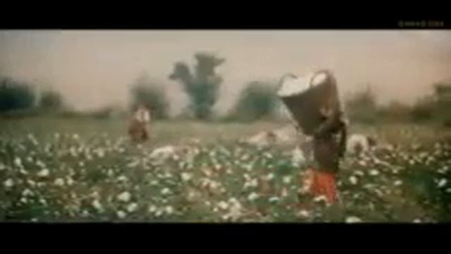 Başsız atlı Azərbaycanca dublyaj смотреть онлайн