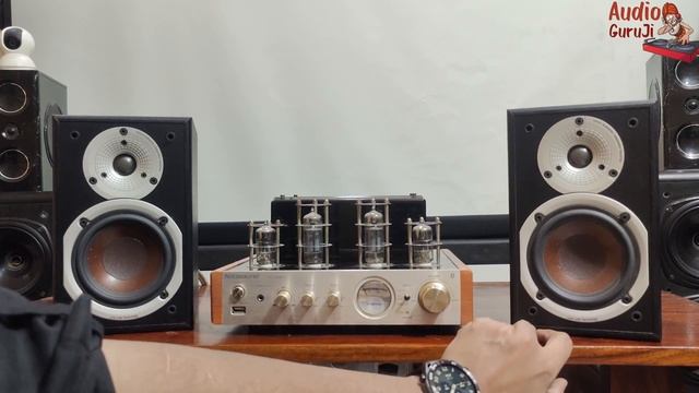 Budget Stereo Setup | Nobsound MS-10D MK2 | Dali Spektor | #tubeamplifier  #dalispeakers #nobsound