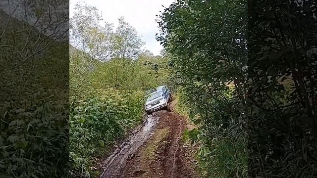 ганальские востряки смотреть онлайн
