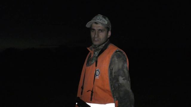 отстрел хищника с Ata Turqua и Sytong.