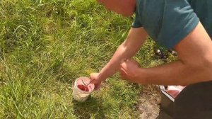 ЛОВЛЯ КАРАСЯ НА САМОДЕЛЬНЫЕ БОЙЛЫ