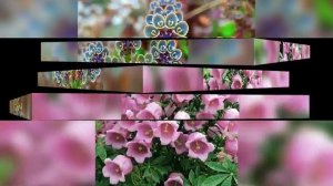 Валлерий леонтев     августин