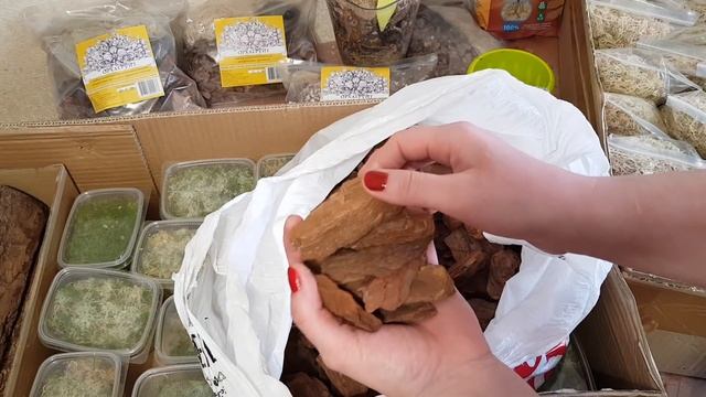 Мох сфагнум живой, сухой, блоки (на продажу)