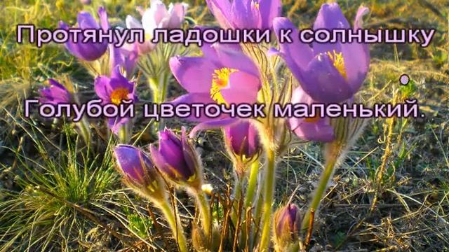Солнечная капель (караоке для детей) смотреть онлайн