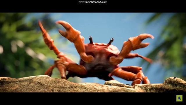 Crab Rave.