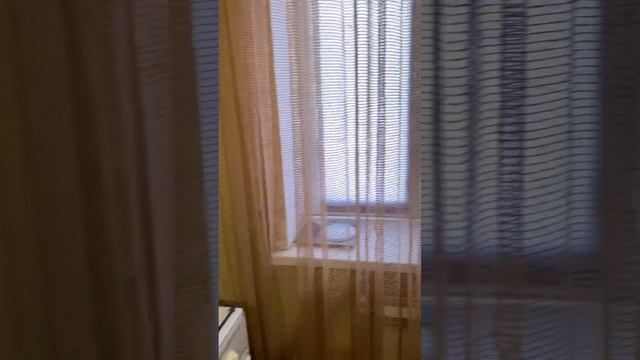 16 октября 2023 г.