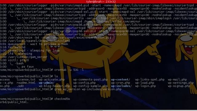 Malware Removal - CentOS смотреть онлайн