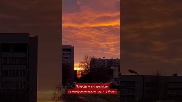красивый закат #природа #красота #шедевры #красотаприроды #закат #солнце #жизнь #город смотреть онлайн