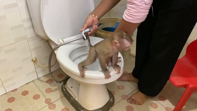 Dam Hate Of Bathing Hide His Body In Blanket Deny To Bathroom смотреть онлайн
