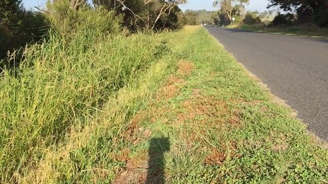 Polo 1.9 TDI 74kw Remapped Straight Pipe Decat смотреть онлайн