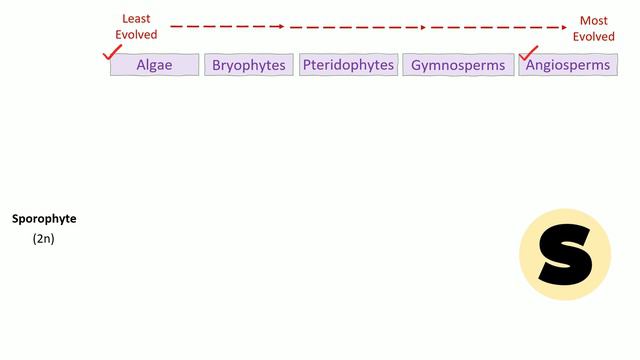 Sporophyte Vs Gametophyte || CLASS 11 || Doubt Crusher || смотреть онлайн
