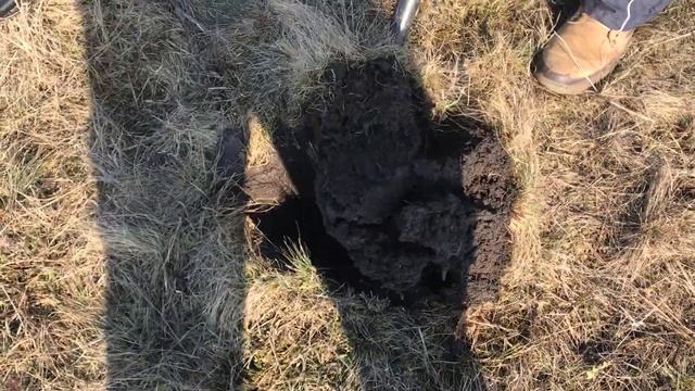 Писк с Vanquish 540 .  Нашёл редкую находочку ? и не одну ?