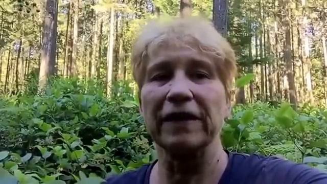 Forest therapy. A walk to stimulate more creative writing. смотреть онлайн