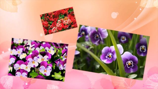 Поздравляем с Международным женским днем 8 марта смотреть онлайн