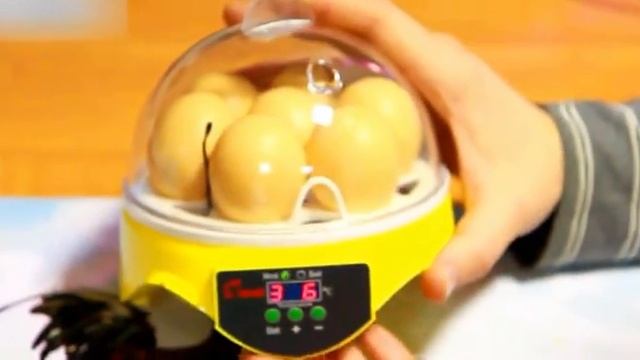 NiceDeice. Мини-инкубатор на 7 яиц "HHD 7" с терморегулятором смотреть онлайн