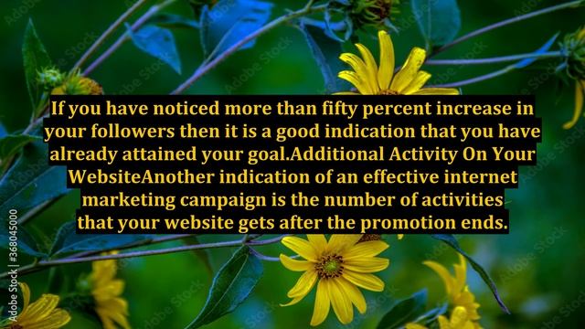 Top Signs Of Effective Internet Marketing Campaign смотреть онлайн