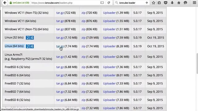 koding setup with ioncube смотреть онлайн