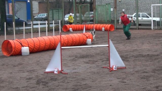 Д-Open 2/3 Large - Семенова Александра и колли короткошерстный Вован смотреть онлайн